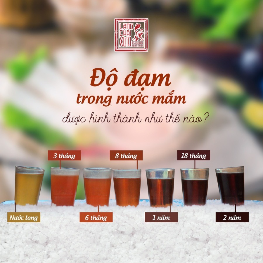 Có phải nước mắm độ đạm càng cao thì càng tốt? Bí quyết chọn nước mắm truyền thống ngon và an toàn