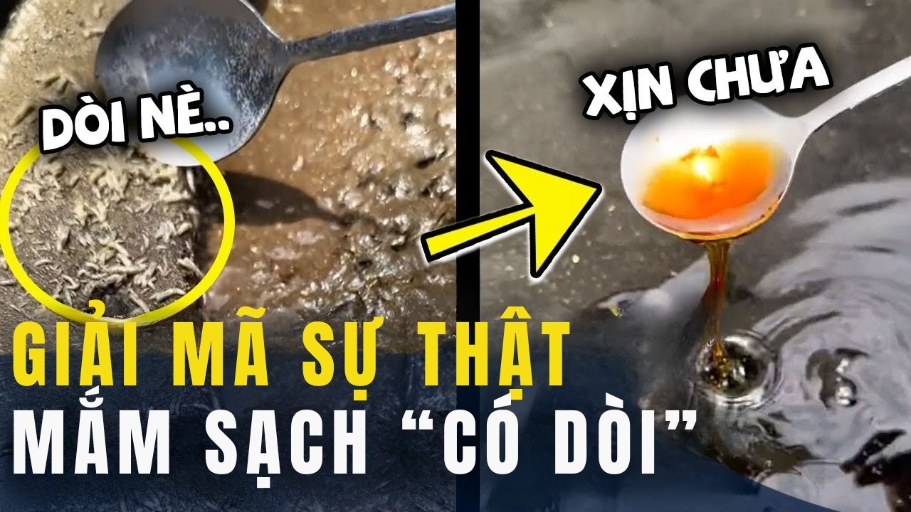 Giải mã sự thật: Nước mắm truyền thống có dòi không và ảnh hưởng đến sức khỏe?