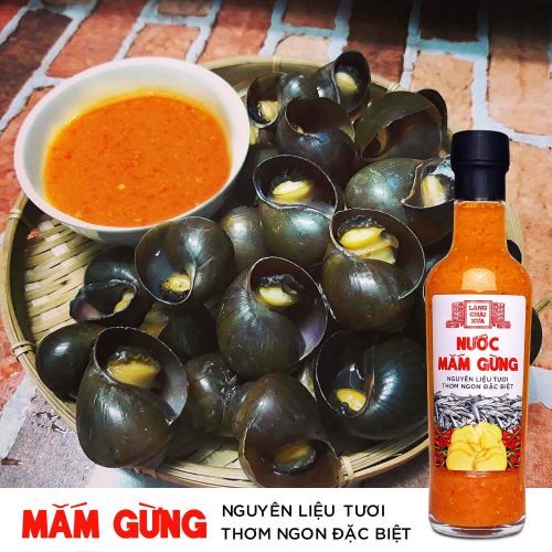 combo 4 chai nuoc mam gung toi ot 300g lang chai xua 9 1