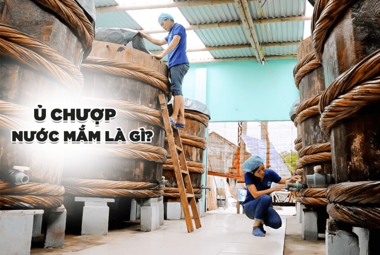 Ủ chượp nước mắm là gì: Quy trình chuẩn và lợi ích sức khỏe từ giọt nước mắm truyền thống