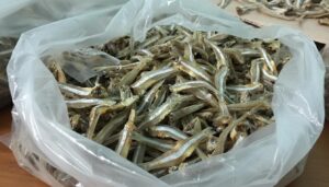 cá mắm khô